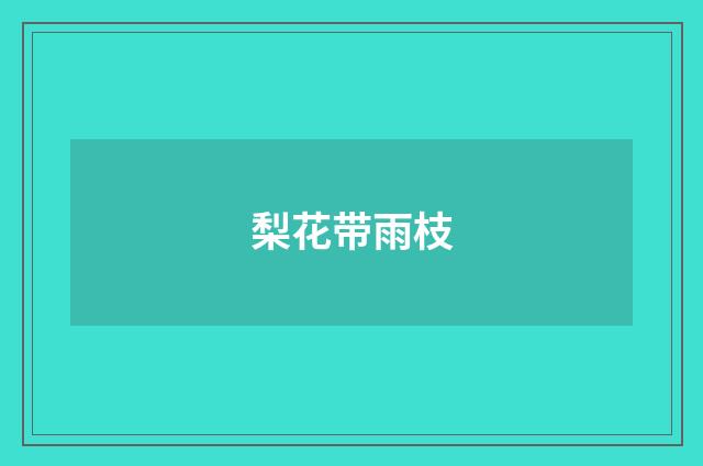 梨花带雨枝