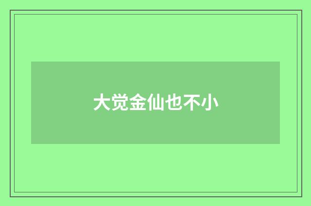 大觉金仙也不小