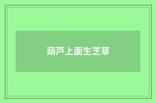 葫芦上面生芝草