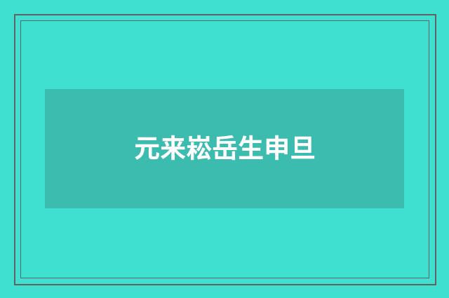 元来崧岳生申旦