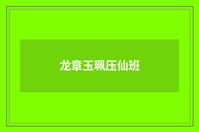 龙章玉珮压仙班