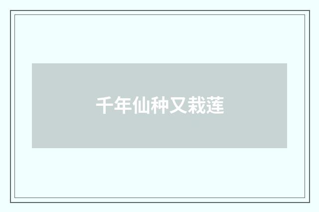 千年仙种又栽莲