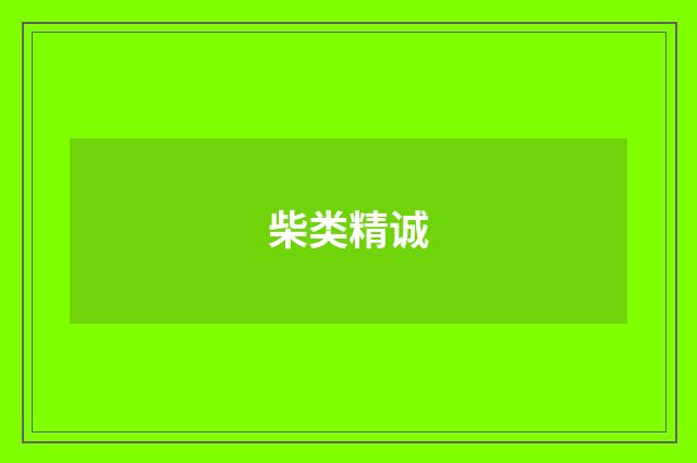 柴类精诚