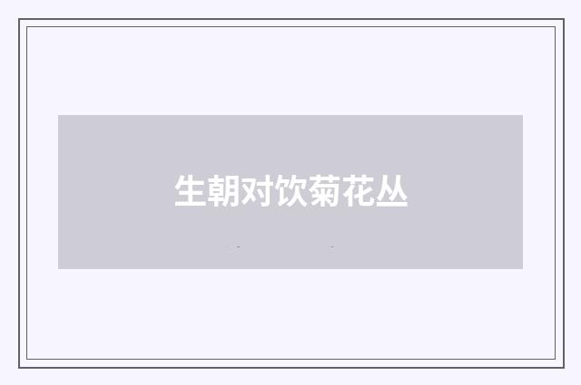 生朝对饮菊花丛