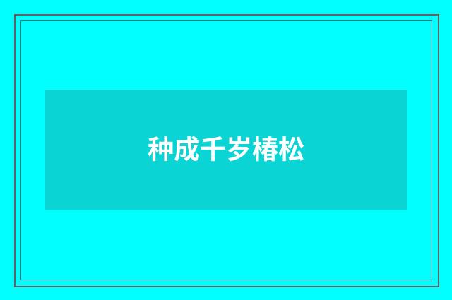 种成千岁椿松