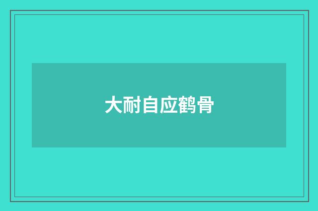 大耐自应鹤骨