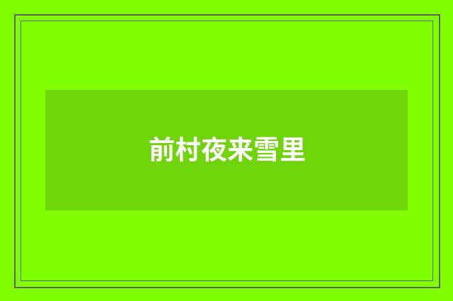 前村夜来雪里