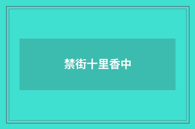 禁街十里香中