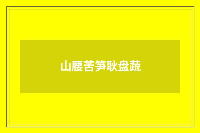 山腰苦笋耿盘蔬