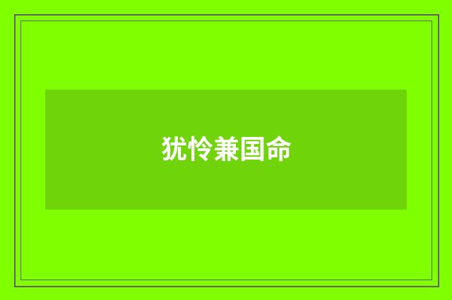 犹怜兼国命