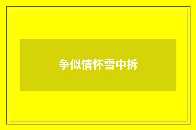 争似情怀雪中拆