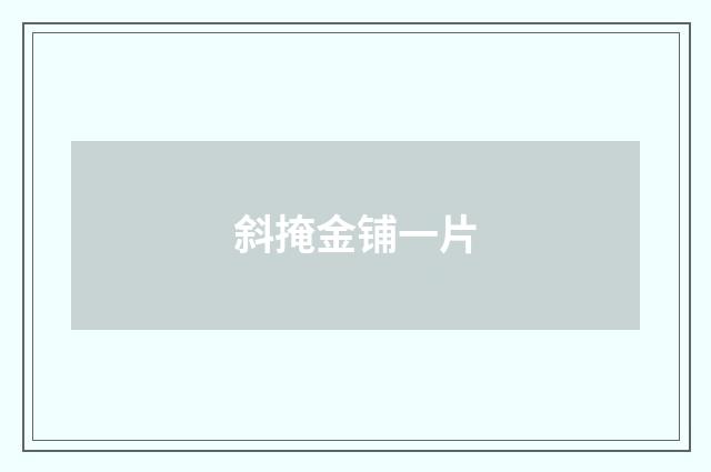 斜掩金铺一片