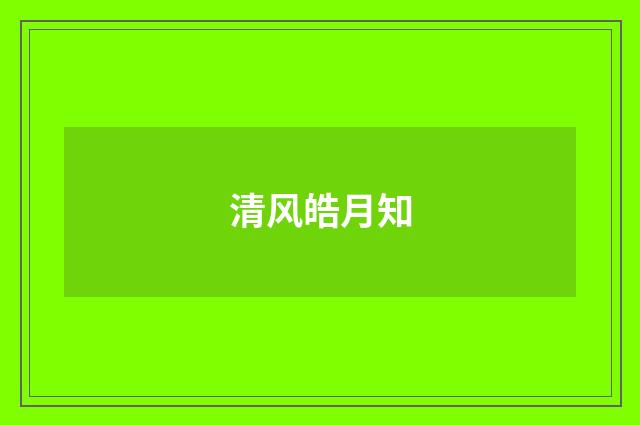 清风皓月知