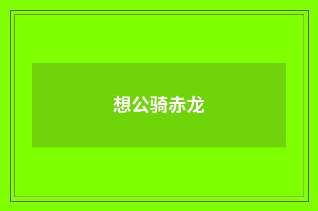 想公骑赤龙