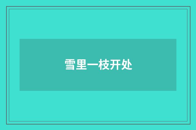 雪里一枝开处