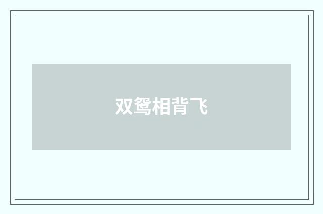 双鸳相背飞