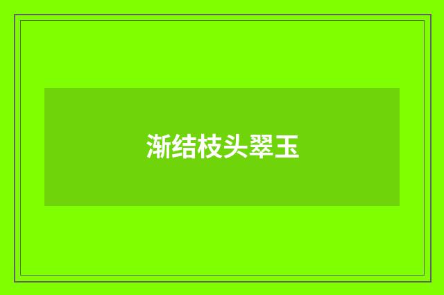 渐结枝头翠玉
