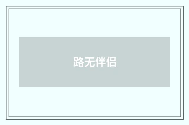 路无伴侣