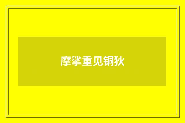 摩挲重见铜狄