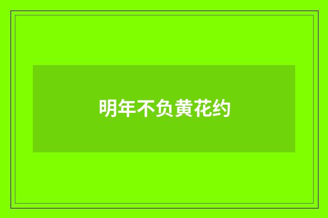 明年不负黄花约