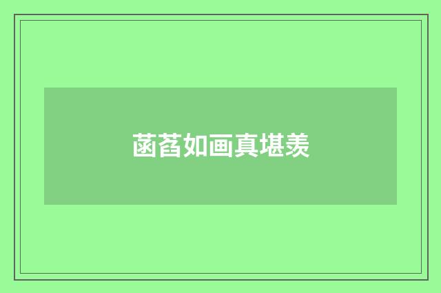 菡萏如画真堪羡