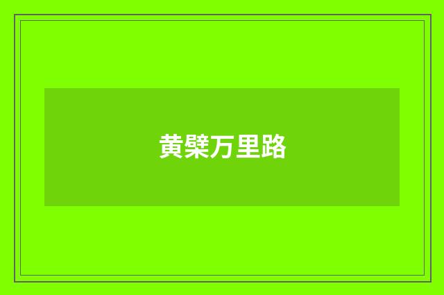 黄檗万里路