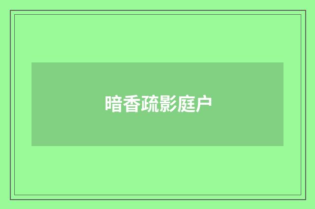 暗香疏影庭户