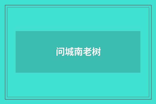 问城南老树