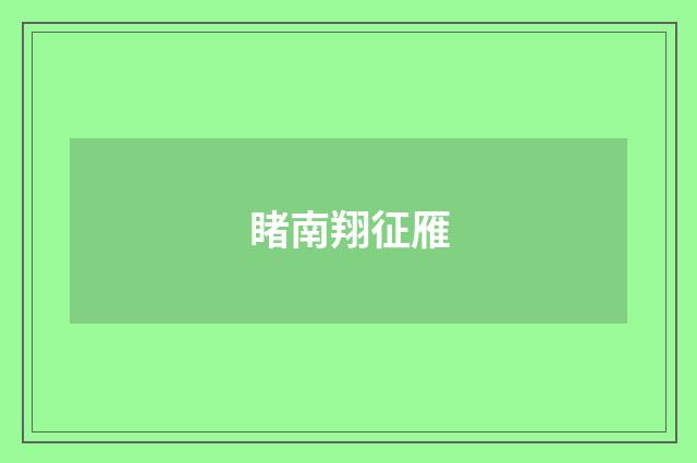 睹南翔征雁