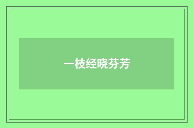 一枝经晓芬芳