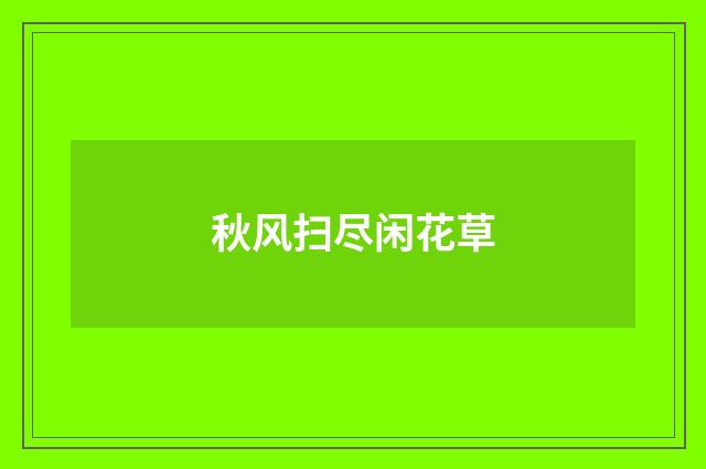 秋风扫尽闲花草