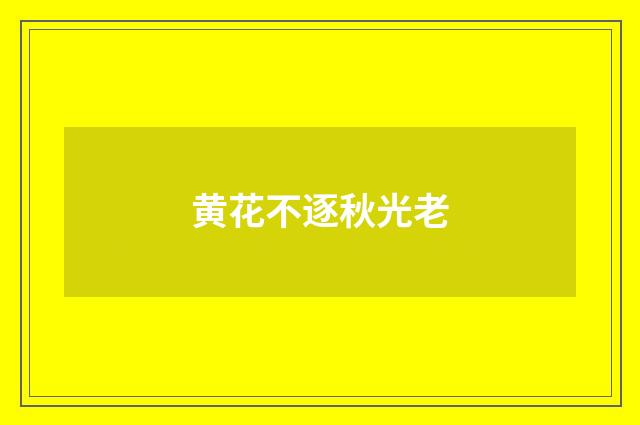黄花不逐秋光老