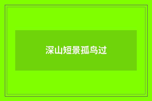 深山短景孤鸟过