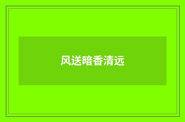 风送暗香清远