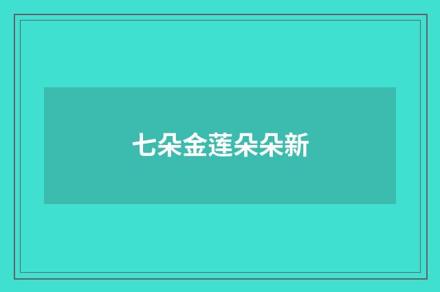 七朵金莲朵朵新