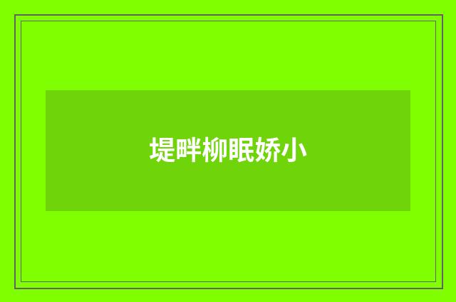 堤畔柳眠娇小