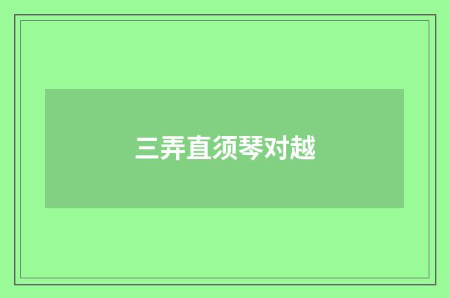 三弄直须琴对越