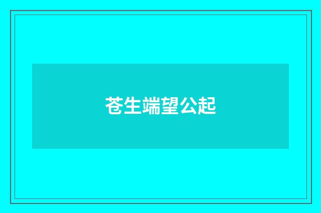 苍生端望公起