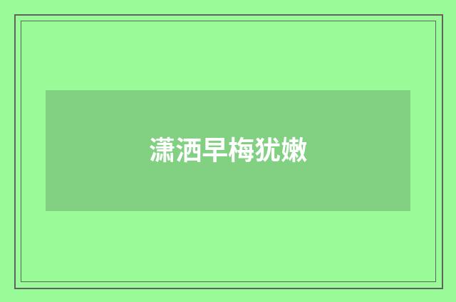 潇洒早梅犹嫩