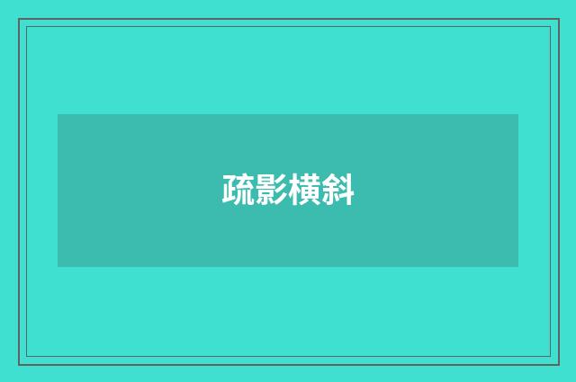 疏影横斜