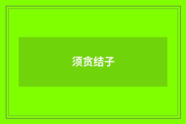 须贪结子