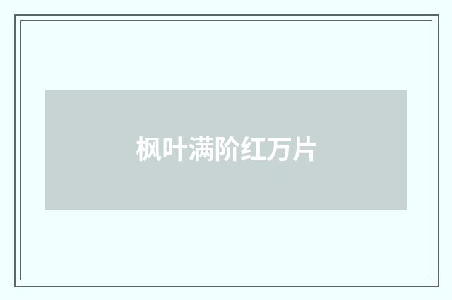 枫叶满阶红万片