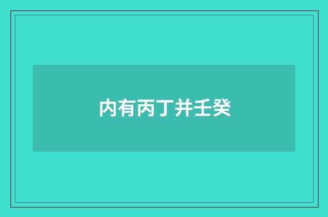 内有丙丁并壬癸