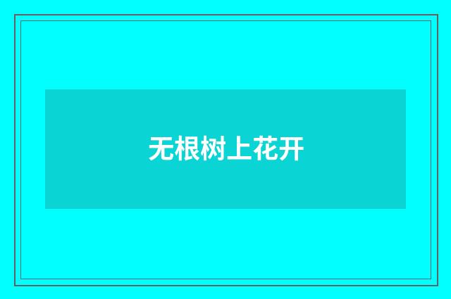 无根树上花开