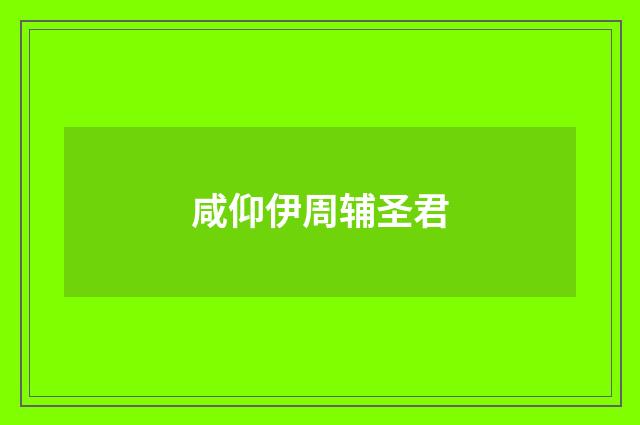 咸仰伊周辅圣君