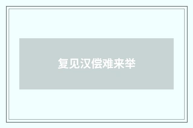 复见汉偿难来举