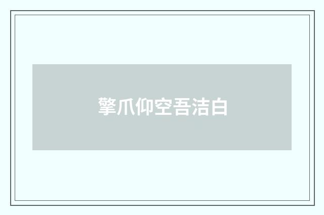 擎爪仰空吾洁白