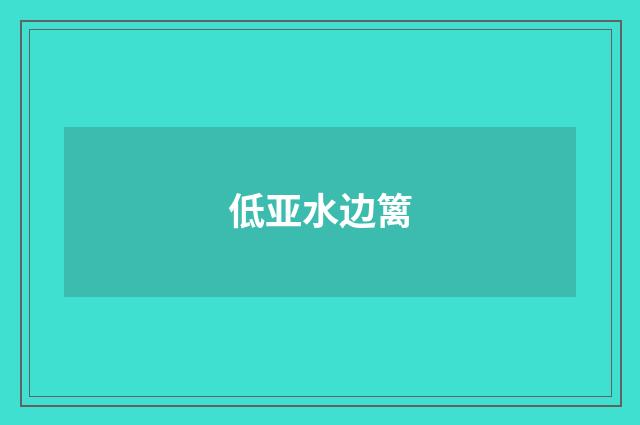 低亚水边篱