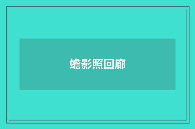 蟾影照回廊