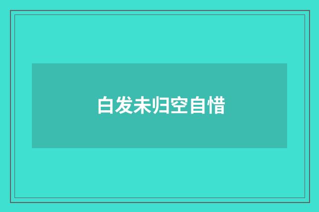白发未归空自惜